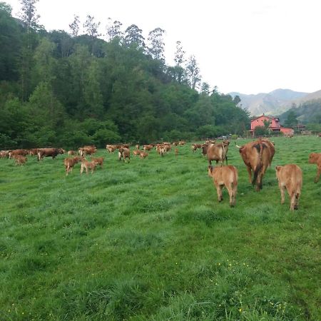 Hotel Rural Casa Cueto Infiesto Ngoại thất bức ảnh